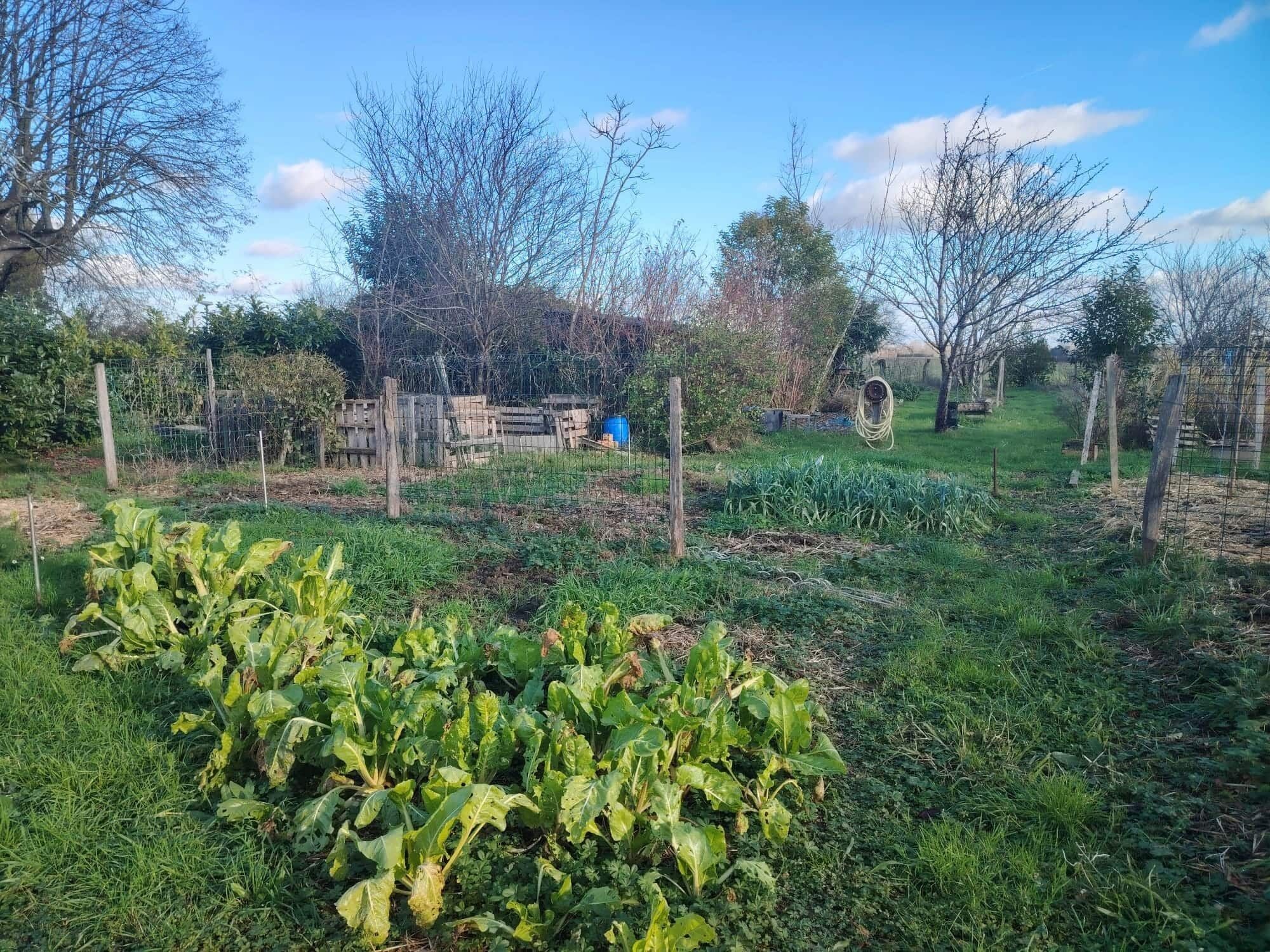 Gîte d’étape et habitation sur le chemin de St Jacques Vente fonds & murs - Gîte d’étape et habitation sur le chemin de St Jacques