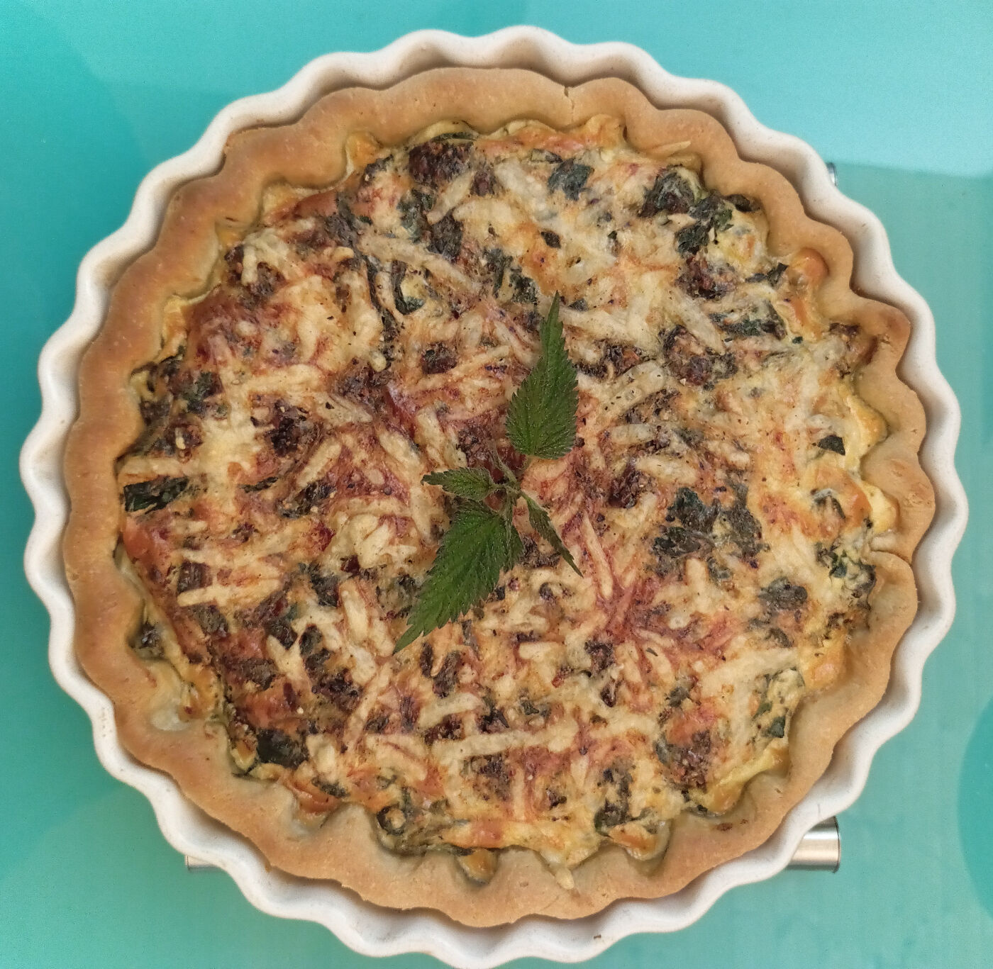 Photos de Couette et Tartinettes Vues de Couette et Tartinettes - Gîte / Gîte d'étape - Bretagne-d'Armagnac