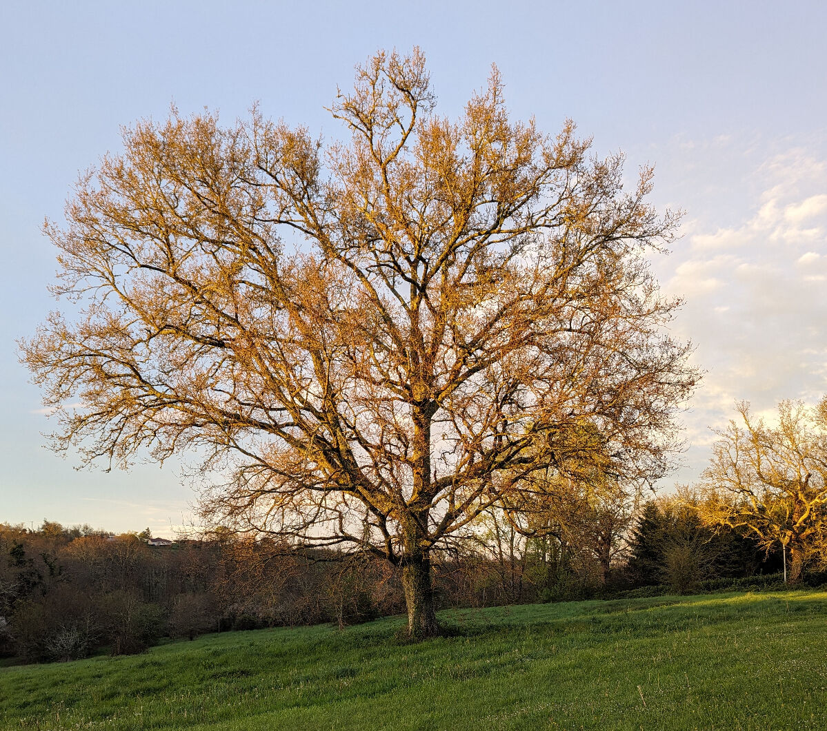 Photos de Couette et Tartinettes Vues de Couette et Tartinettes - Gîte / Gîte d'étape - Bretagne-d'Armagnac