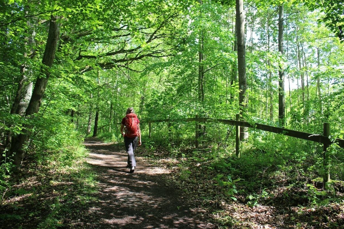Article : Quel chemin choisir pour aller à Compostelle ?