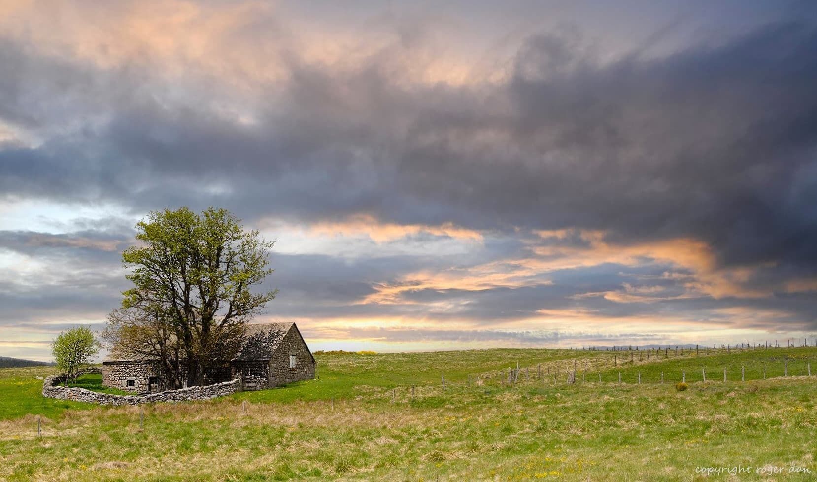 Douce et belle année 2021