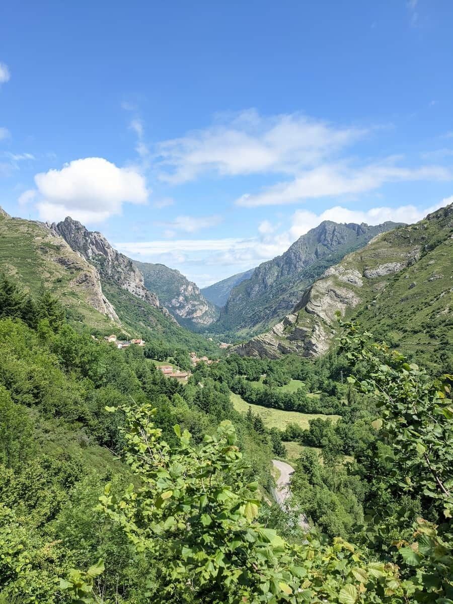 La vallée des ours Article : La vallée des ours