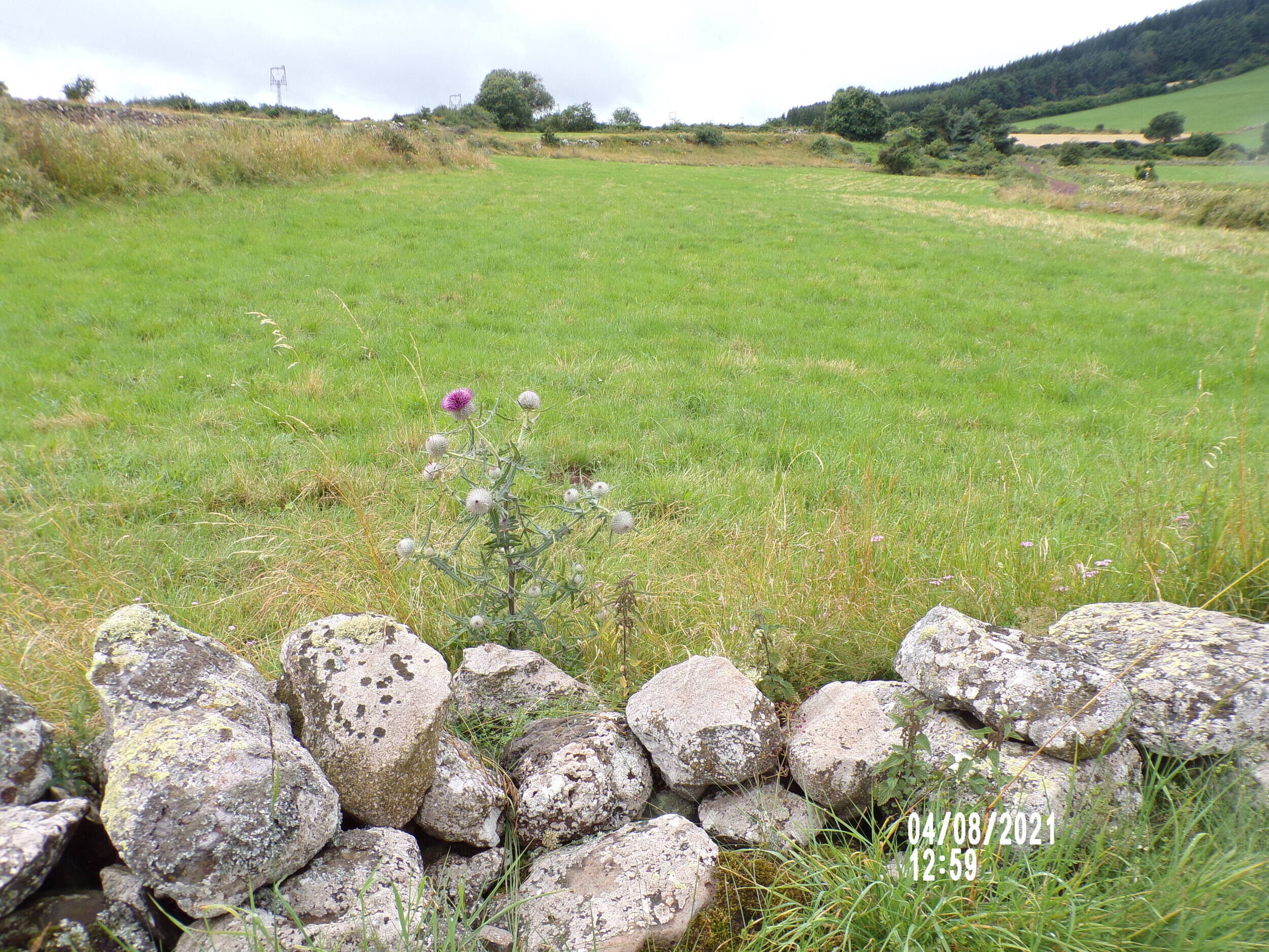 Sur les chemins de l'Aubrac Article : Sur les chemins de l'Aubrac